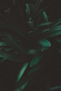 Darker currents, so revitalizing_edited.jpg
