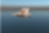 Bildschirmfoto 2024-08-15 um 20.10.16.png