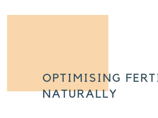 Basic's of Fertility - 4 Considerations for Sperm to Egg Success