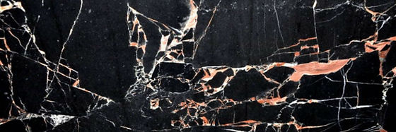 Portogold — full slab