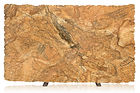 Copper Canyon — full slab