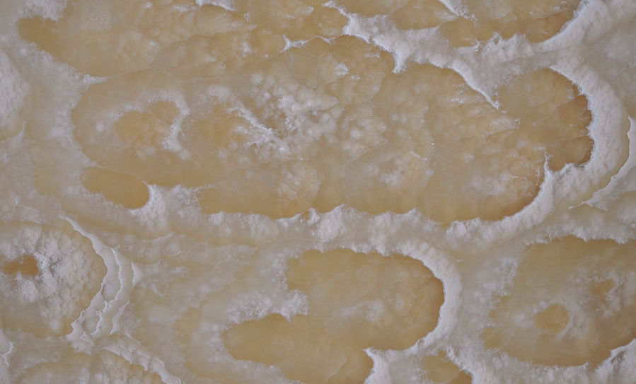 Butterfly Onyx — full slab
