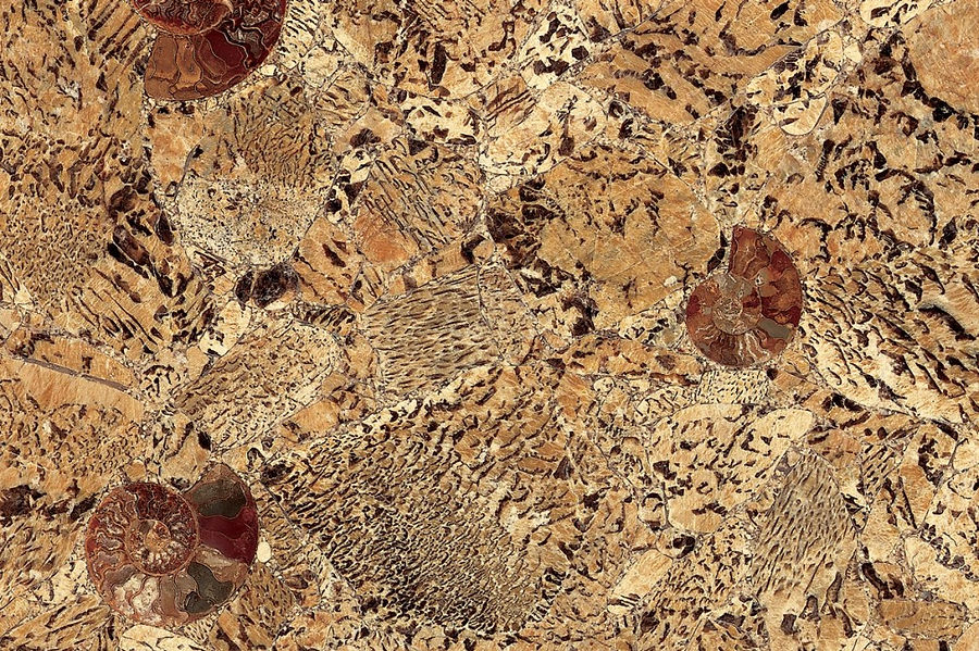 Graphic Feldspar — full slab