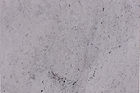 Gracie Granite — full slab