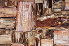 Retro Petrified Wood — full slab