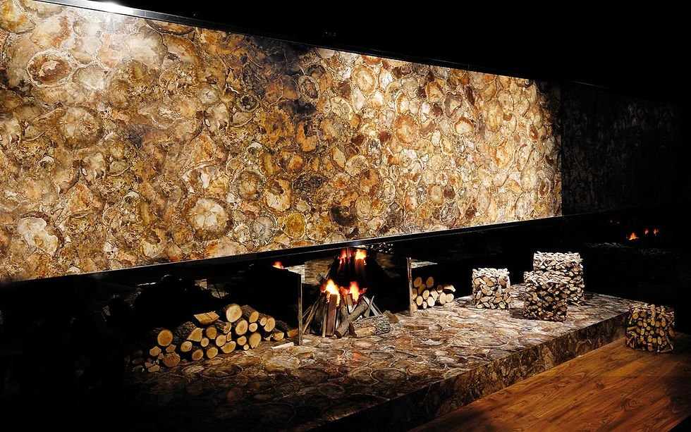 Thumbnail: Brown Petrified Wood