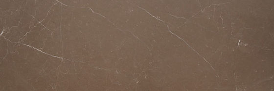 Gris Brown — full slab