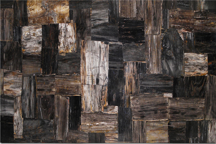 Black Petrified Wood — full slab