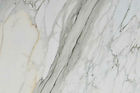 Calacatta Oro — full slab