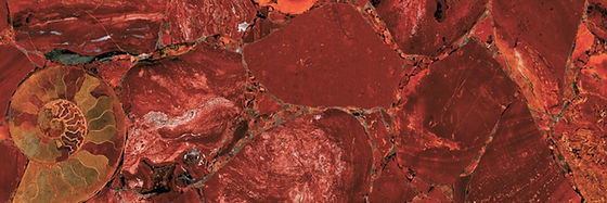 Red Jasper Classic — full slab