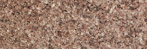 Rosa Iris — full slab