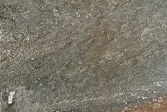 Gold Migration — detail