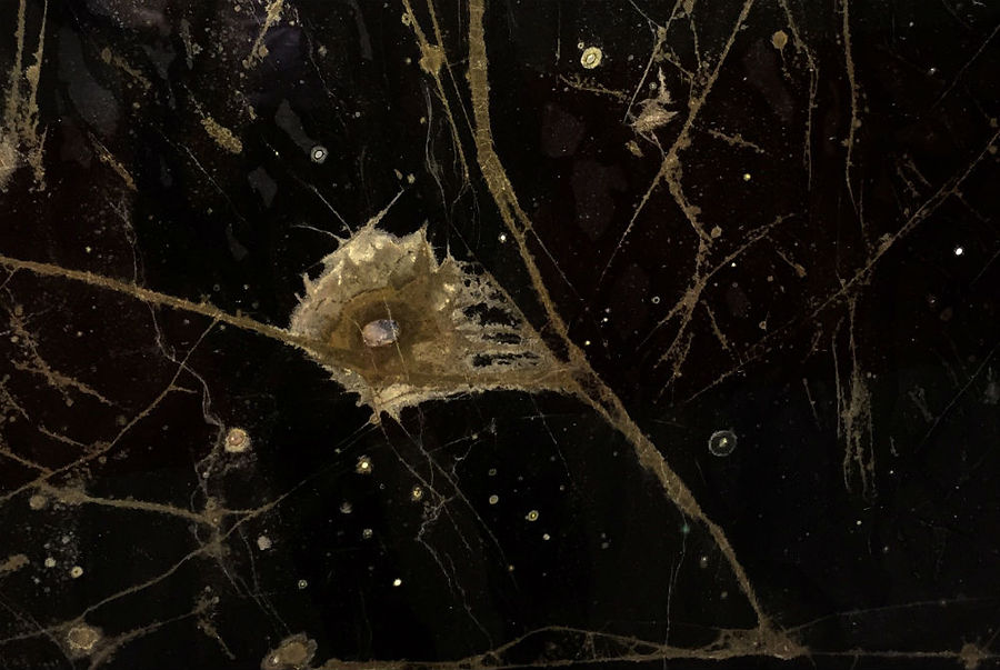 Luce Di Agate — full slab