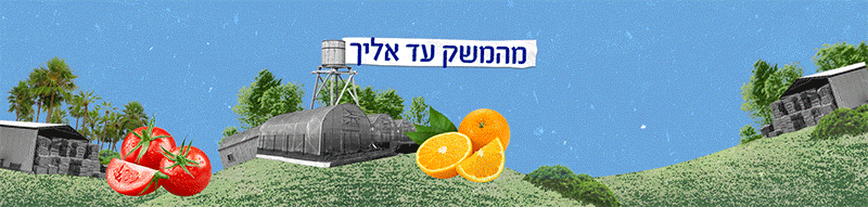 מצגת-ללא-כותר2ת.gif