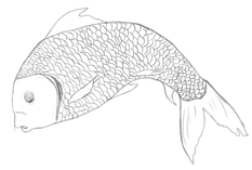 fish1-grey.png