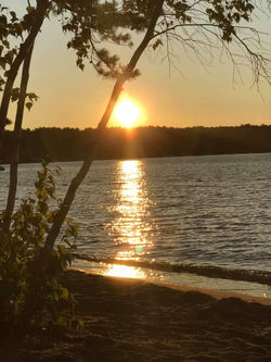 116341300_414800029476865_4611116120243630384_n