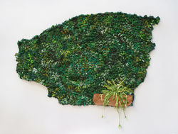 Ficus and pot 35x45 cm 2024