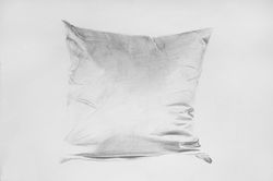 cushion 50x70cm 2022