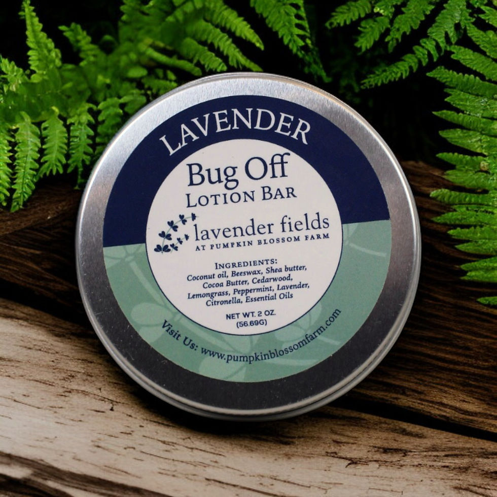 Thumbnail: Bug Off Solid Lotion Bar