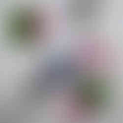 Product photo of lavender geranium deodorant on a white marble background, surrounded by fresh flowers 