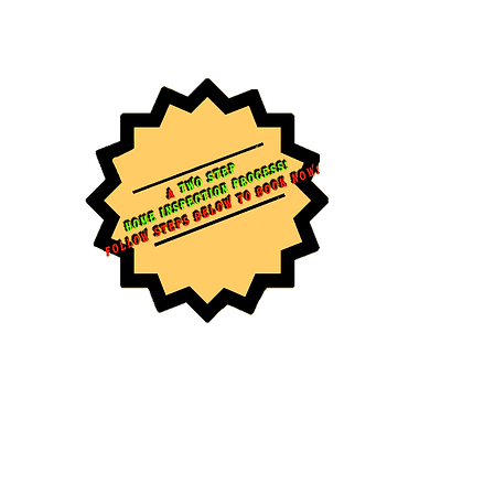 medal optuimized.png