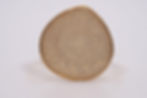 Gold Sparkle Stone Color