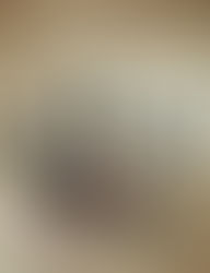 仕事のパートナー