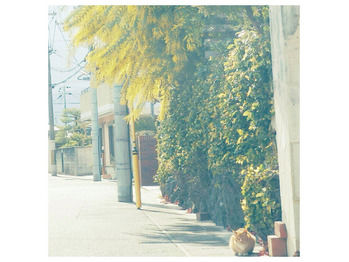 もうすぐ春ですね♪