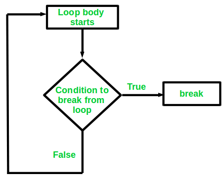 Branching and Loop Statements