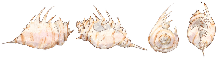 C4CA34C7-4936-4079-B0B8-E049731291AB.png