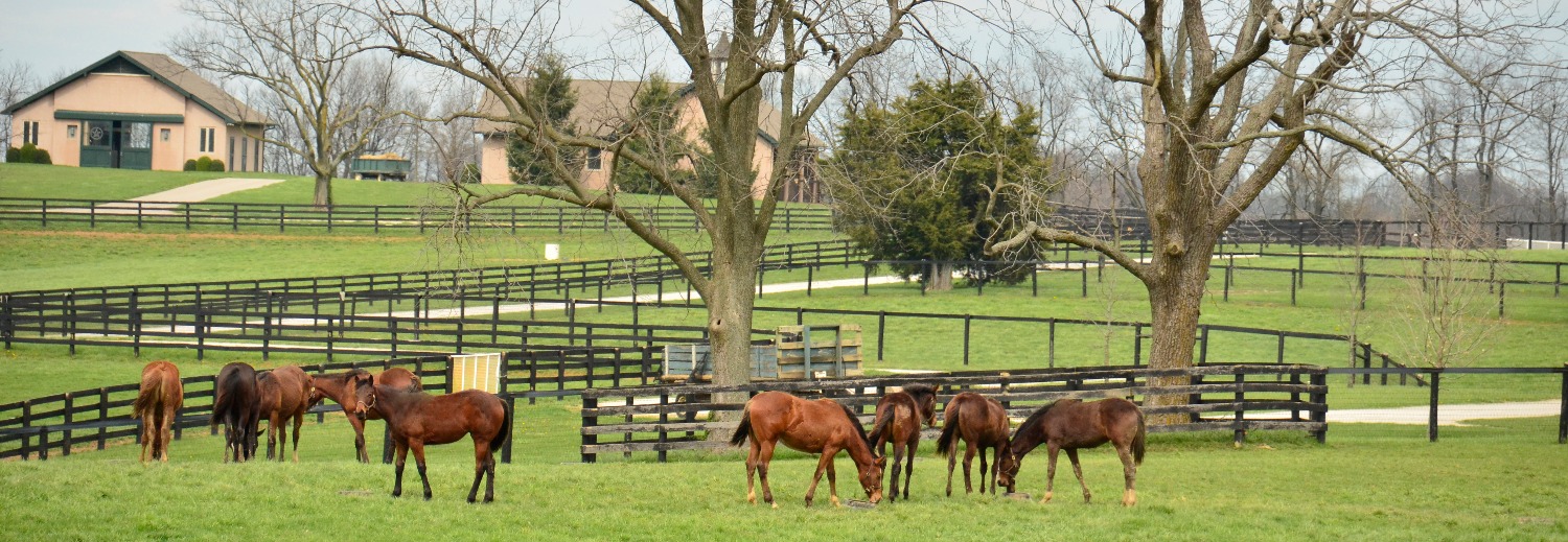 Woodford County Chamber of Commerce Versailles, KY