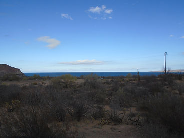 DSC01563.JPG