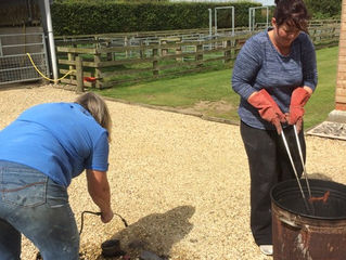 Experimenting with Raku Firing