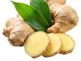 GINGER.jpg