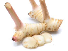 GALANGAL AKA LENGKUAS.jpg