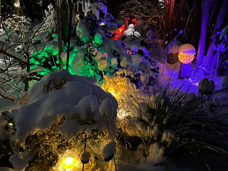 color illumination on a snowy night