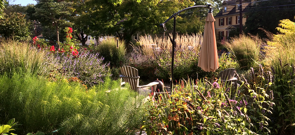 Lush garden seating area with flowering plants, ornamental grasses, chairs, and a patio umbrella