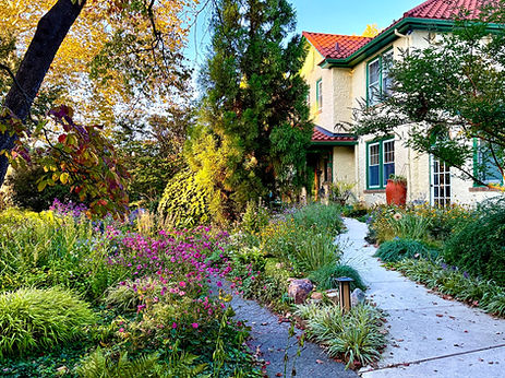 Front walk through a layered garden beside a stucco house.