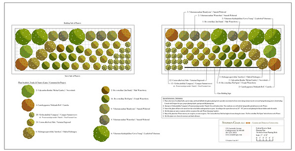 Garden planting plan drawing with plant symbols, notes, and legend. 