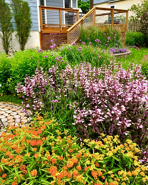 Layered Perennial Planting by Wood Deck