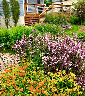 Layered perennial planting with pink, purple, and orange blooms beside a wood deck and steps.