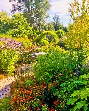 Layered backyard garden with flowering perennials, stone paving, circular seating area, and custom moongate in the distance.