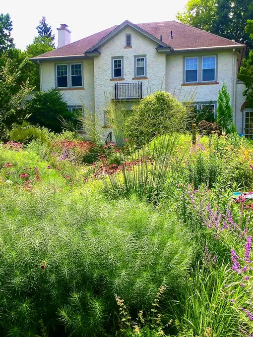 Layered pollinator garden with coneflowers, grasses, and purple flowering perennials surrounding a large home in a refined nature-inspired landscape.
