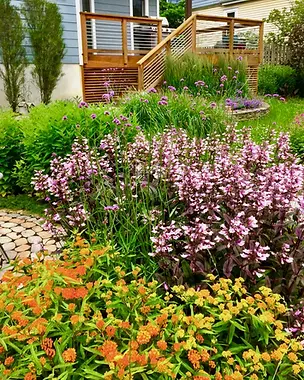Layered perennial garden beside a cedar back porch with flowering plants, ornamental grasses, stone paving, and integrated hardscape.