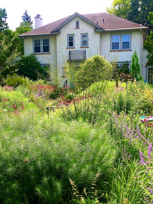 White stucco house behind a layered naturalistic front garden of grasses, shrubs, and perennials.