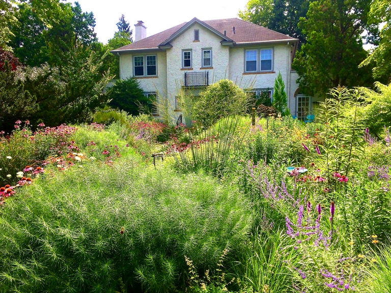 White stucco house behind a layered naturalistic front garden of grasses, shrubs, and perennials.