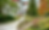 Curving front walk through a lush plant-forward garden beside a white stucco house with red tile roof.