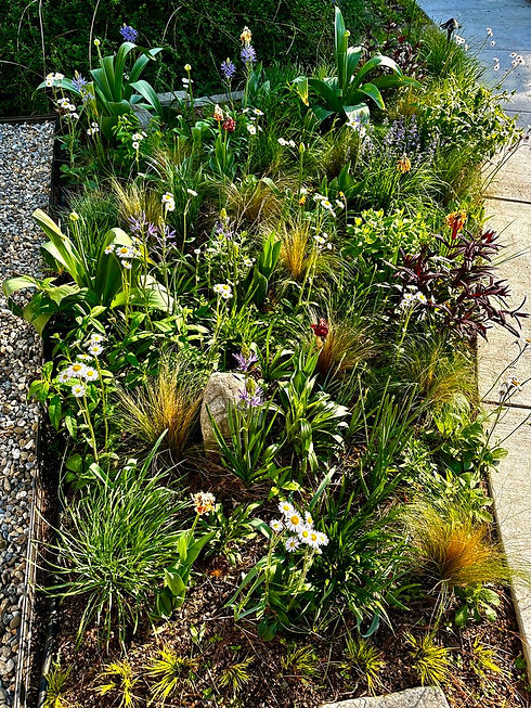 Layered planting bed with perennials and grasses beside a paved walk.