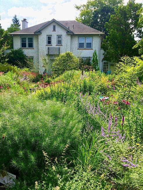 White stucco house behind a layered naturalistic front garden of grasses, shrubs, and perennials.