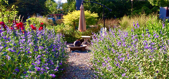 Gravel garden path through tall purple flowering perennials leading to a small fire bowl seating area.